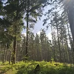 Zakatek Dorimaks *