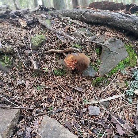 Rum i privatbostad Zakatek Dorimaks Zawoja