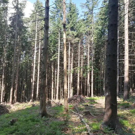 Zakatek Dorimaks * Zawoja