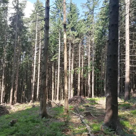 Zakatek Dorimaks * 자보자