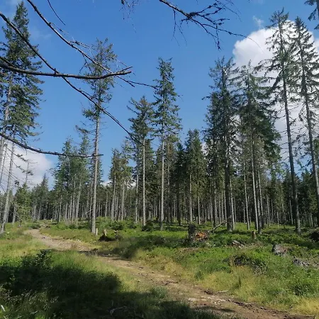 Zakatek Dorimaks Zawoja