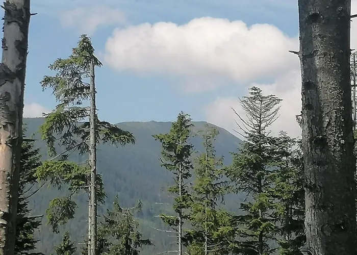 Zakatek Dorimaks בית אירוח *