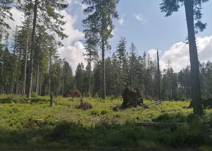 בית אירוח Zakatek Dorimaks זאבוייה
