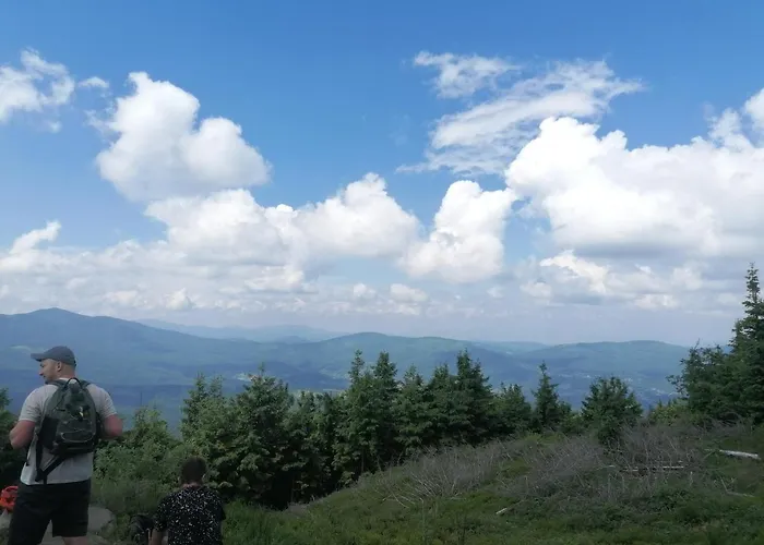 Zakatek Dorimaks זאבוייה