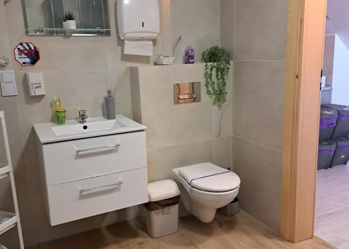 Zakatek Dorimaks זאבוייה